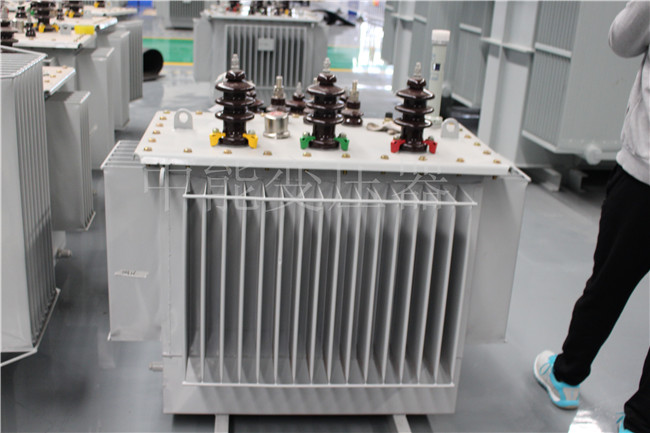 双柏S20-1000KVA油浸式变压器